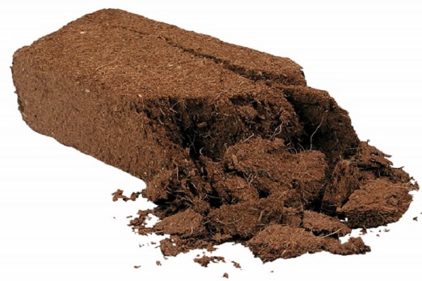 MacFibre- coco peat after water